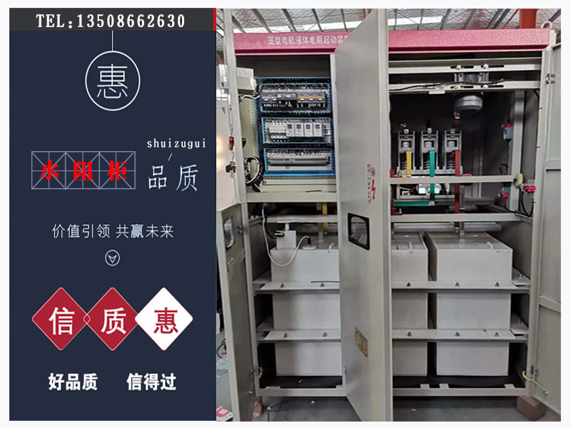 高压电阻起动柜,水电阻起动柜,水阻柜,高压水阻柜厂家